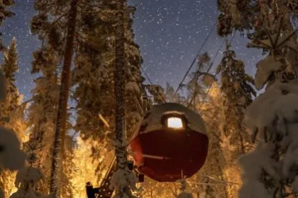 Aus dem Baumhaus den Sternenhimmel von Schweden bestaunen