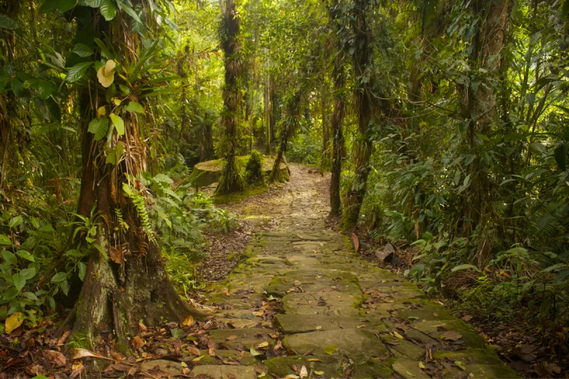 Ciudad Perdida: Sehenswürdigkeit in Kolumbien