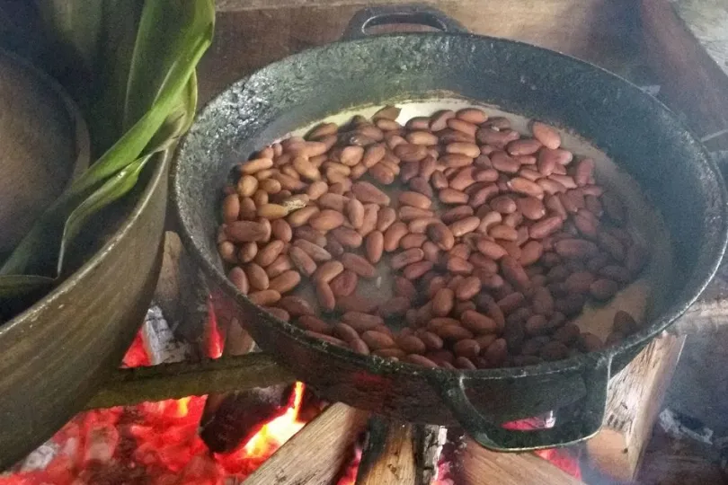Costa Rica vakantie Bribri cacao roosteren
