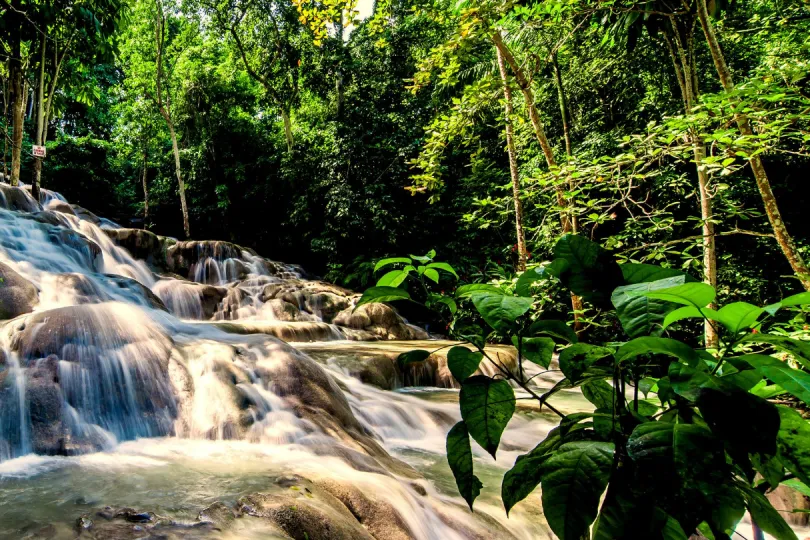 Wasserfall umgeben von grünen Bäumen