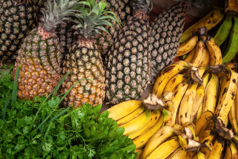 Bananen und Ananas gehören zur kolumbianischen Küche