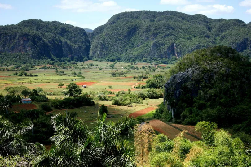 Blick über die Felder von Viñales in Kuba