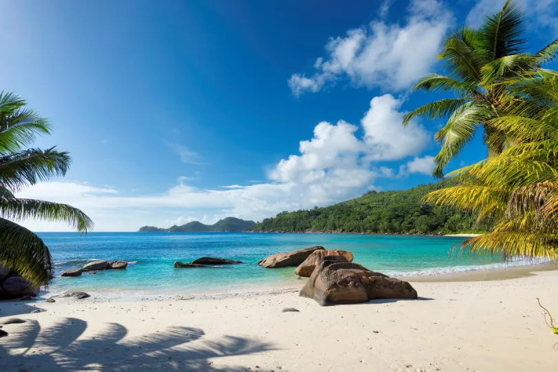 Ein verlassener Strand mit grossen Plamen und blauem Meer in Jamaika