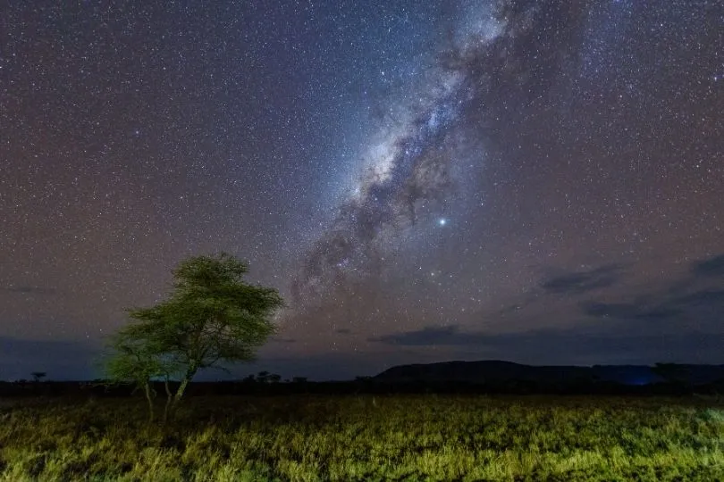Sternenhimmel in der Serengeti in Tansania