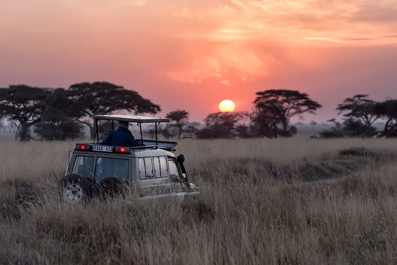 Rangerauto fährt durch Serengeti Nationalpark