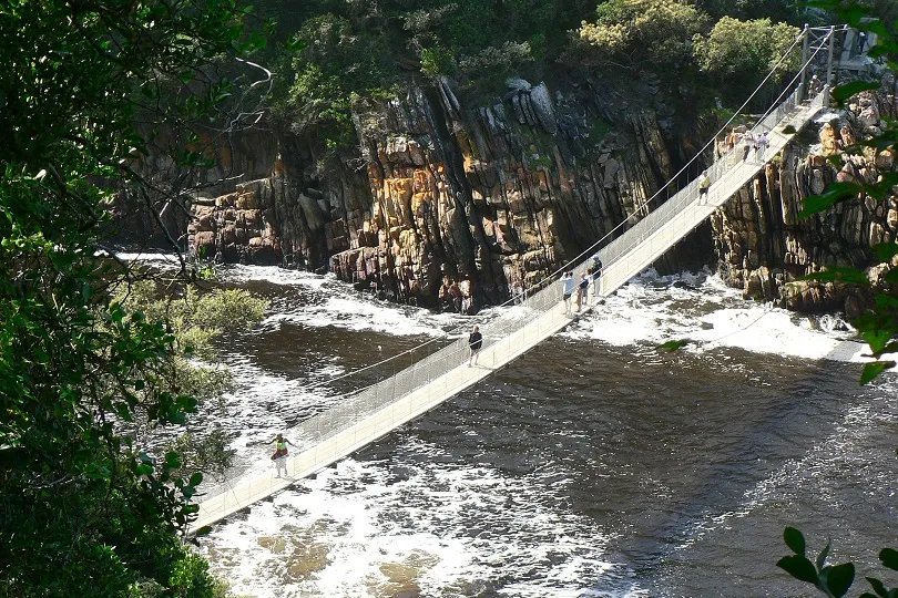 Blick von oben auf die Tsitsikamma Hängebrücke