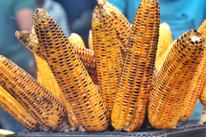 Maiskolben gehören zu der vegetarischen Küche Südafrikas
