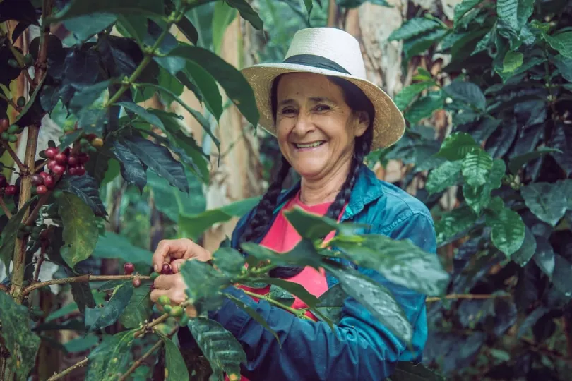 In der Kaffeeregion von Kolumbien erfahren Sie alles zur Kaffeeproduktion