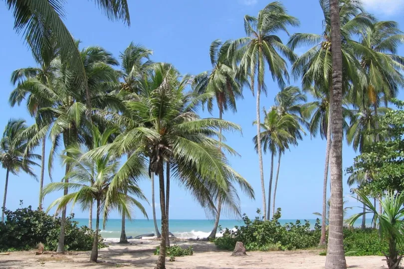 Mit Kindern am Strand von Palomino entspannen