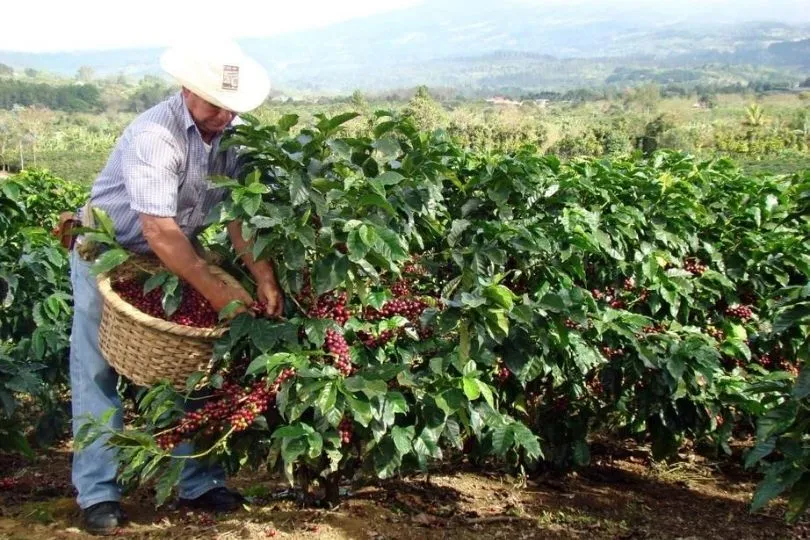 Entspannt und glücklich: Ticos in Costa Rica