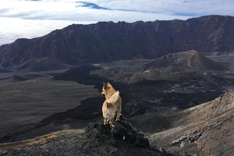 Lavalandschaft auf Fogo