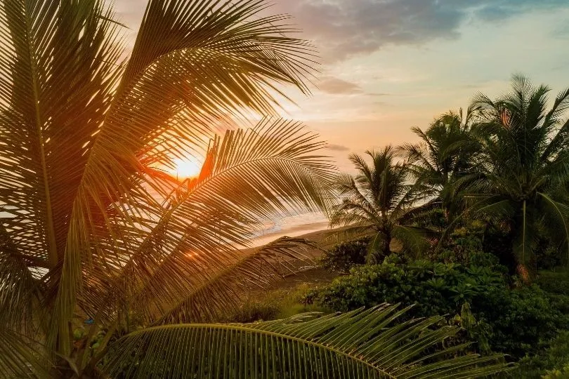 Wunderschönes Costa Rica: Glückliche Aussichten