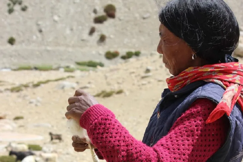 Eine Frau in Ladakh, die sich mit Wolle auskennt