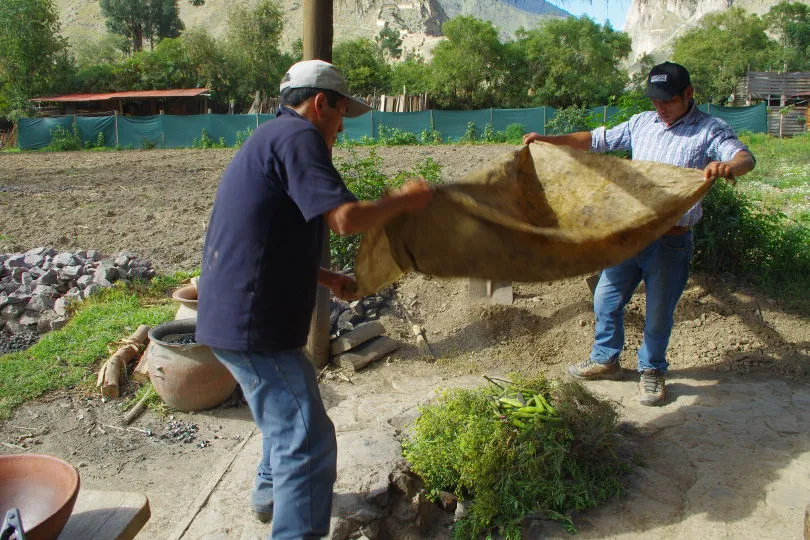 Zwei Männer bereiten das traditionelle Gericht Pachamanca im Erdofen in Peru zu