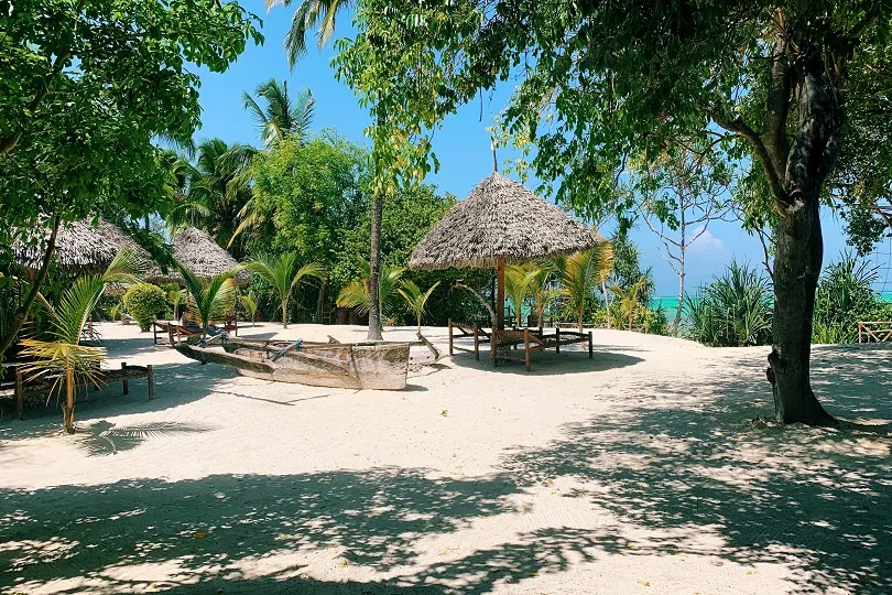 Blick auf den von Palmen gesäumten Strand auf Sansibar