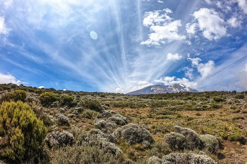 Blick auf den Kilimanjaro