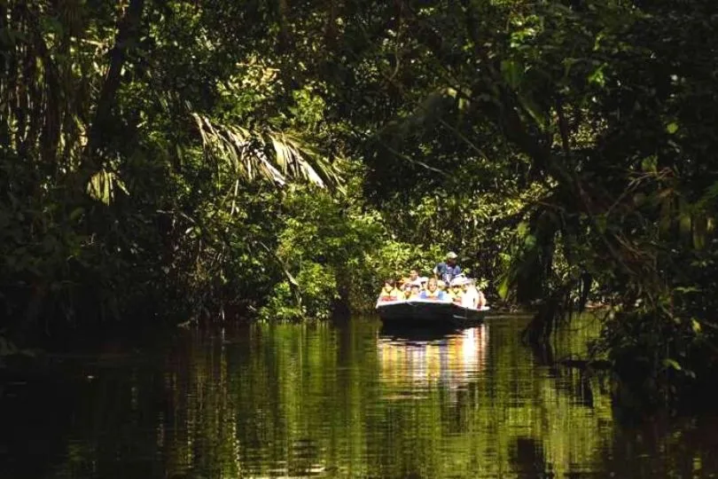 Costa Rica mit Kindern: Bootstour im Tortuguero Nationalpark