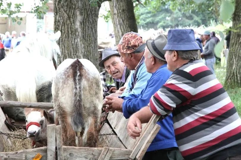 Locals auf dem Viehmarkt in Maramures