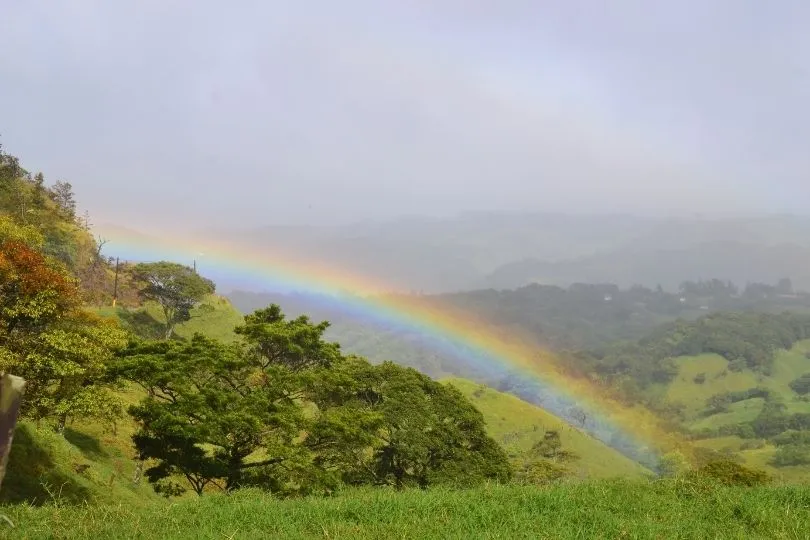 Monteverde Nebelwald in Costa Rica