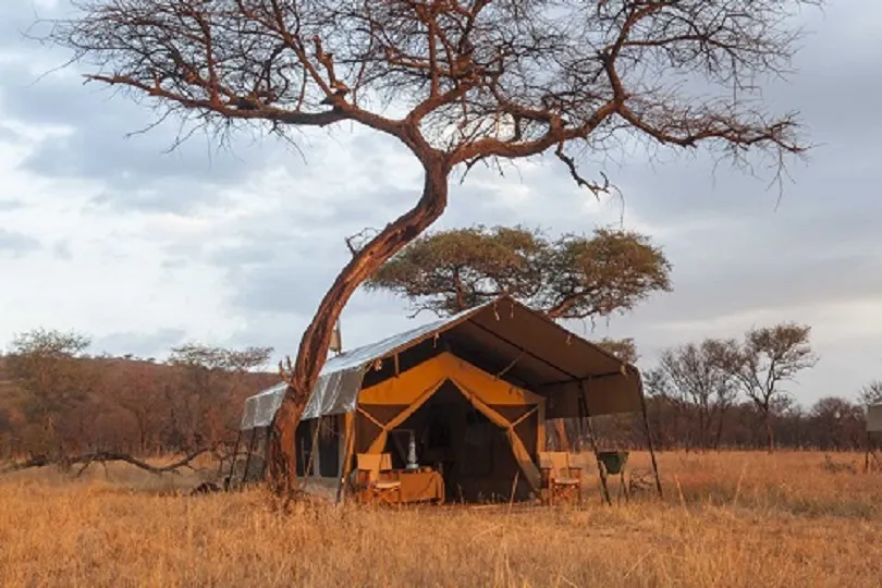 Die Kati Kati Zeltlodge in der Serengeti