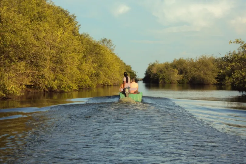 Ausflug auf dem Boot über den Suriname River