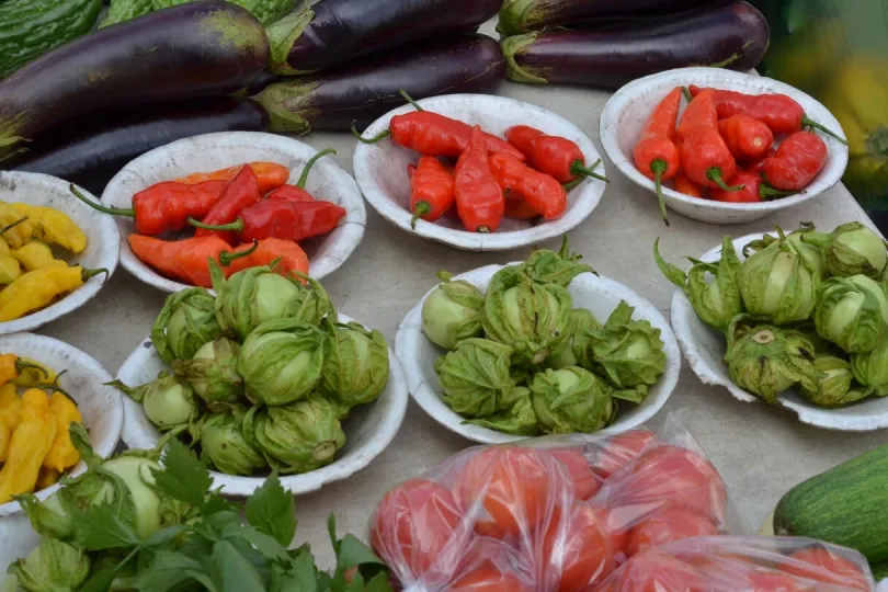 Suriname Rundreise: traditionell kochen in Paramaribo