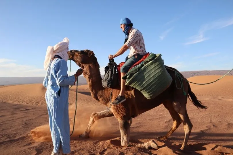 Highlight der Rundreise: Mit einem local Guide durch die Wüste Marokkos