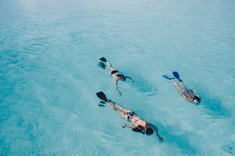 Während Ihrer Flitterwochen auf den Malediven können Sie im blauen Wasser schnorcheln
