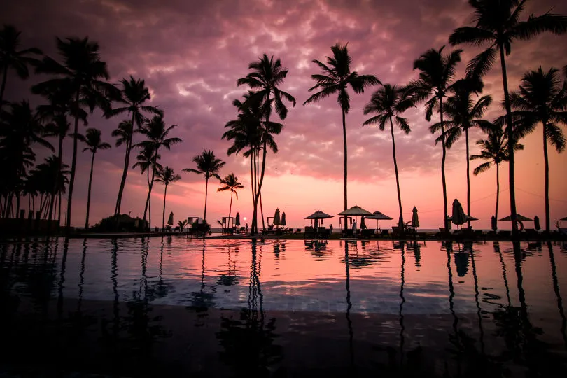 Im Fischerdorf Negombo können Sie den Sonnenuntergang am Strand mit Palmen bestaunen