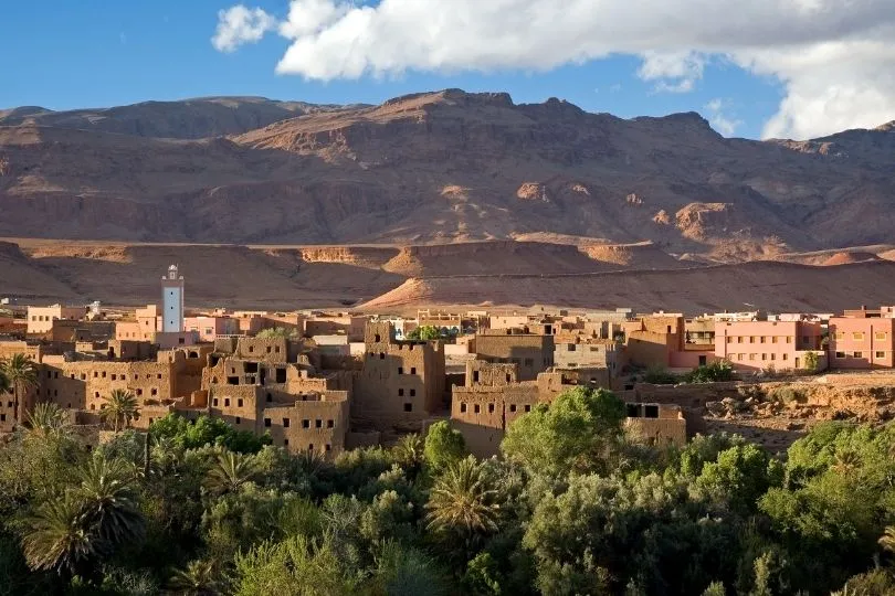 Highlight der Marokko Rundreise: Palmenhain in Tineghir