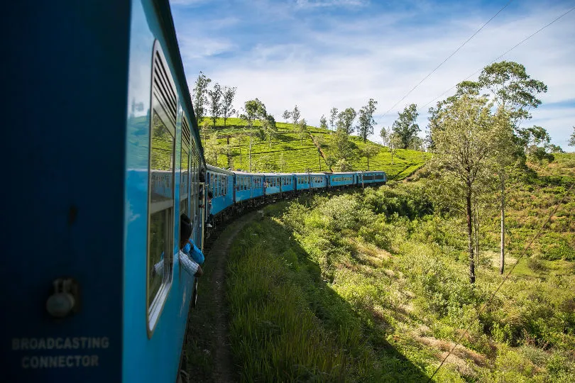Mit dem Zug durch die Teeplantage fahren in Sri Lanka