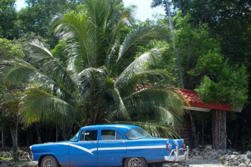 Blauer Oldtimer und Plamen in Hintergrund