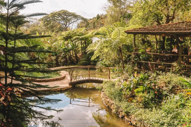 Die Brücke der Eco-Lodge