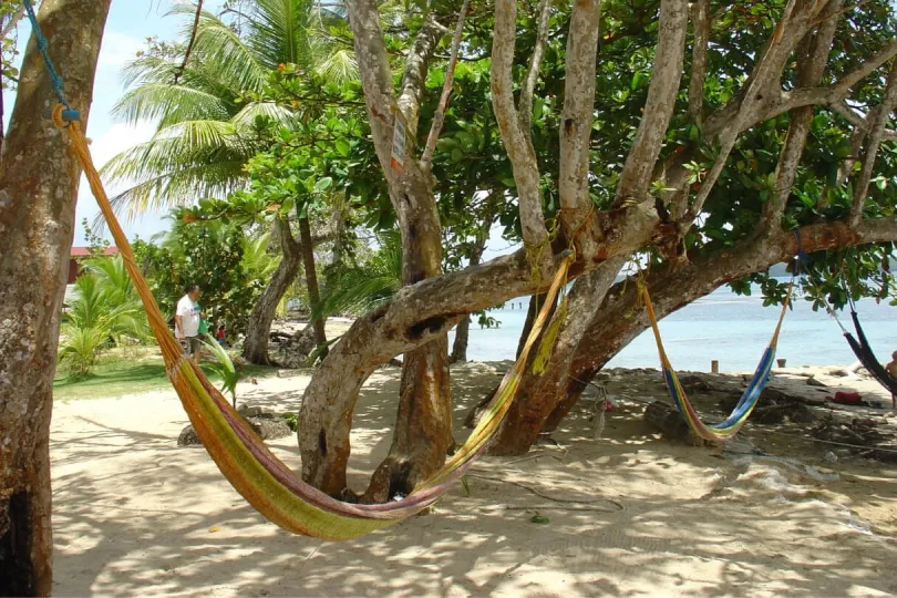 Hängematte in Bocas del Toro