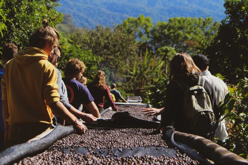 Menschen bei der Kaffeetour in Boquete