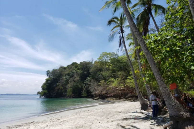 Sandstrand und Palmen in Boca Chica