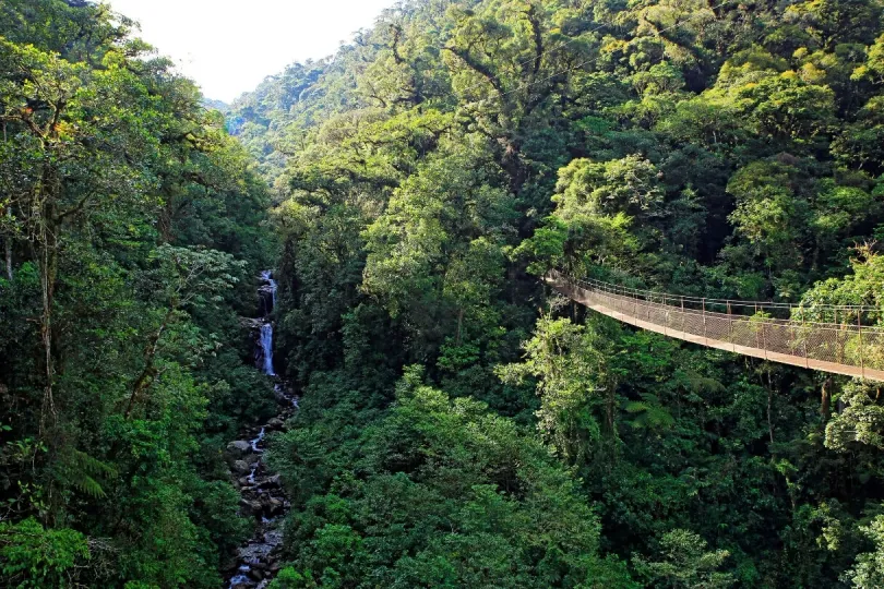 Hängebrücke in Panama