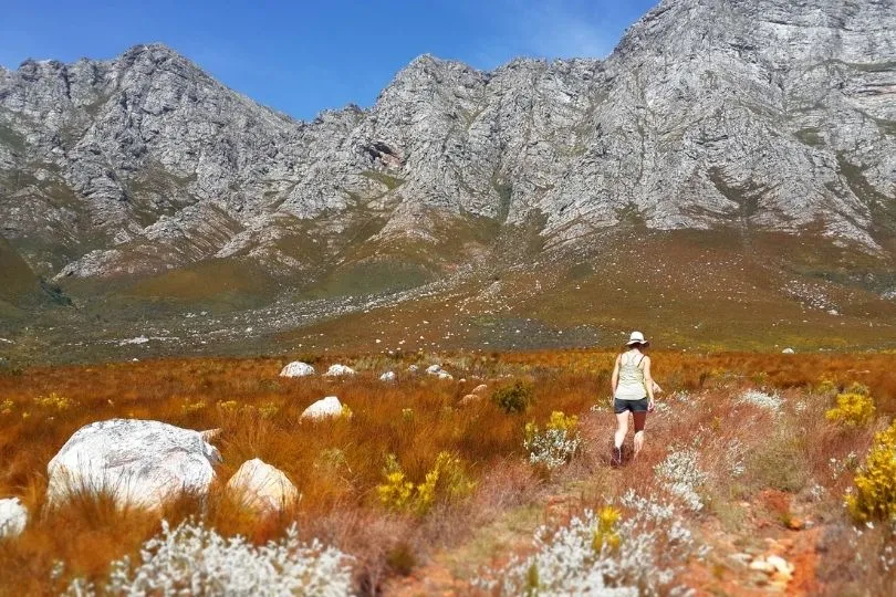 Blütenpracht auf der Garden Route