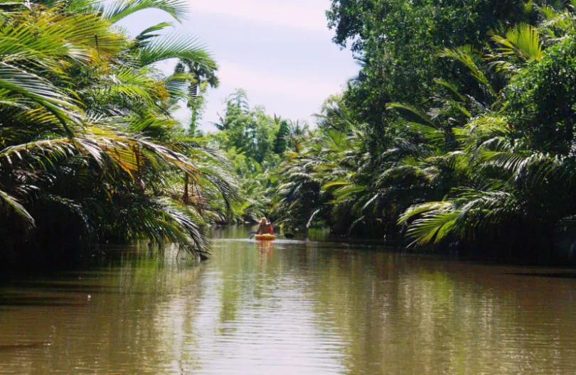 Erkunden Sie eine der schönsten Inseln Kambodschas per Kanu