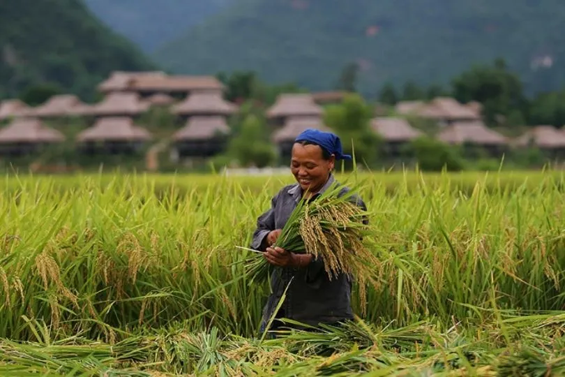 Mai Chao Ecolodge: Ideal, um Locals zu treffen