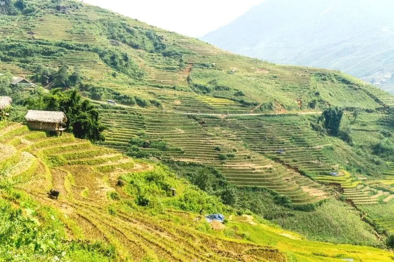 Reisetipp für Vietnam: Wandern in Sapa