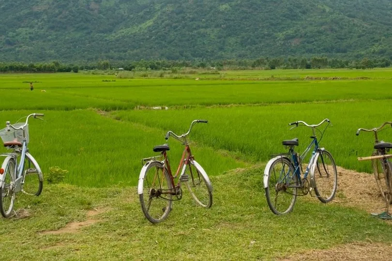 Highlight: Mit dem Fahrrad durchs Mekong Delta