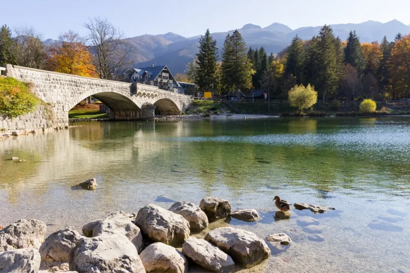 Brücke und klares Wasser in Bohinj