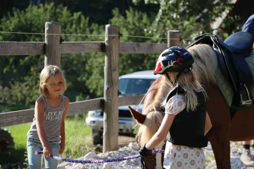 Zwei Kinder halten ein Pferd