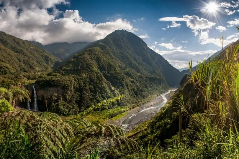 Dschungel in Ecuador
