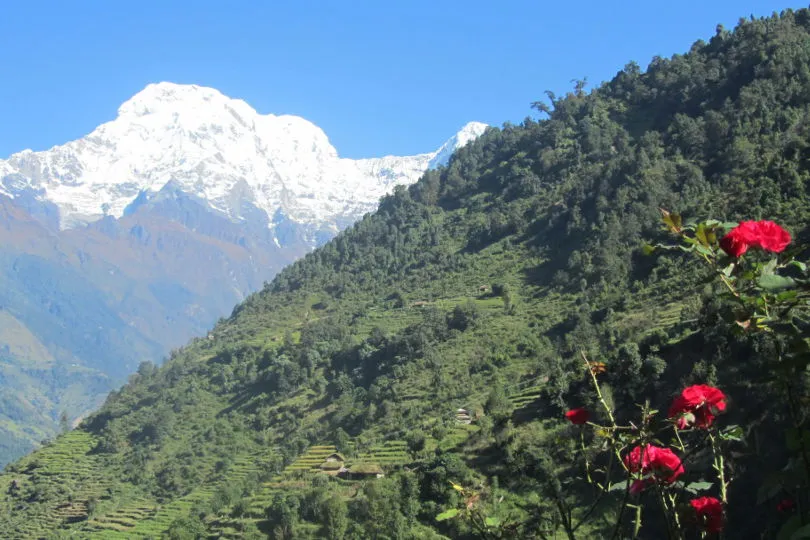 Die Landschaft während der Annapurna Basislager Wanderung in Nepal