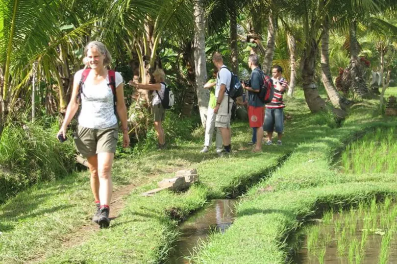 Ubud Indonesien Kräuterwanderung