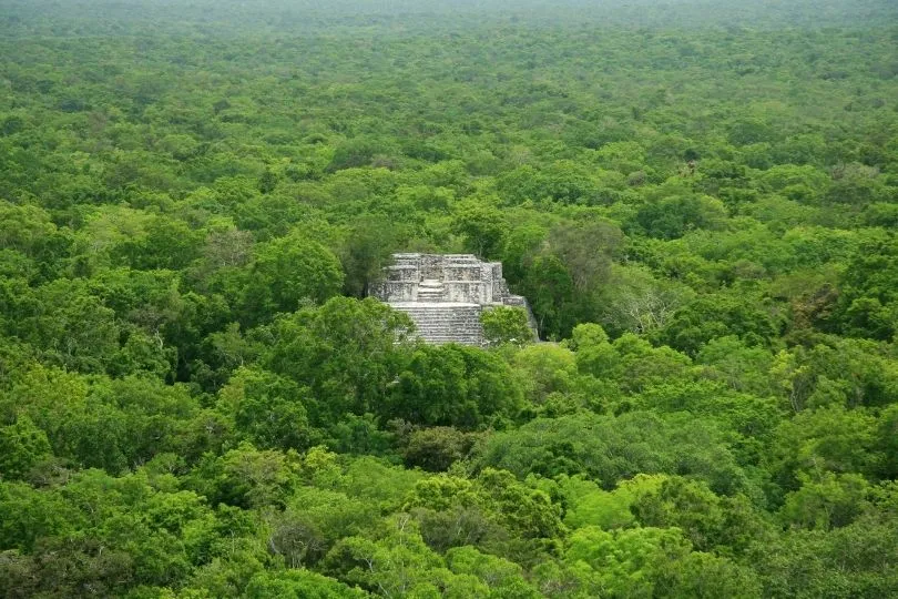 Pyramide im Dschungel Mexikos