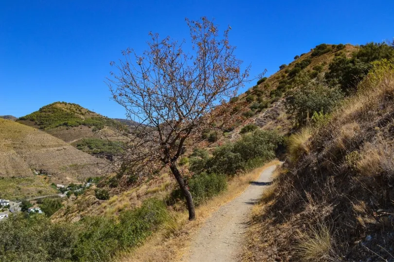 Trockene Landschaft in der Sierra Nevada