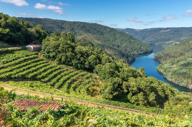 Spanje Ribeira Sacra